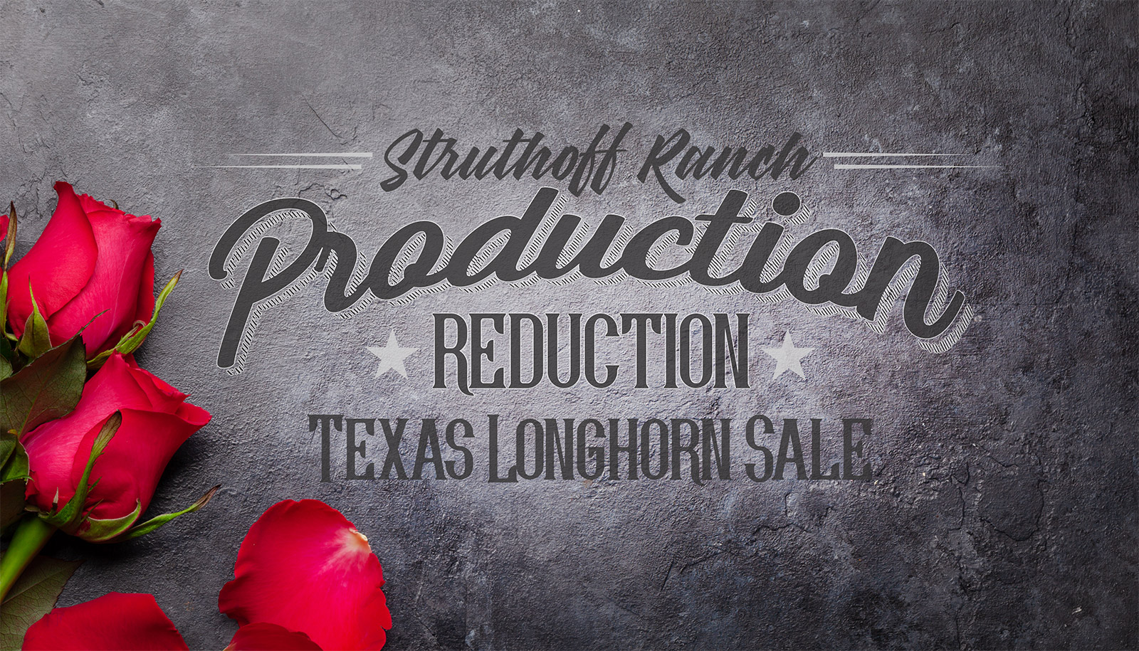 Registered Texas Longhorns for sale at Struthoff Ranch in Texas HIll